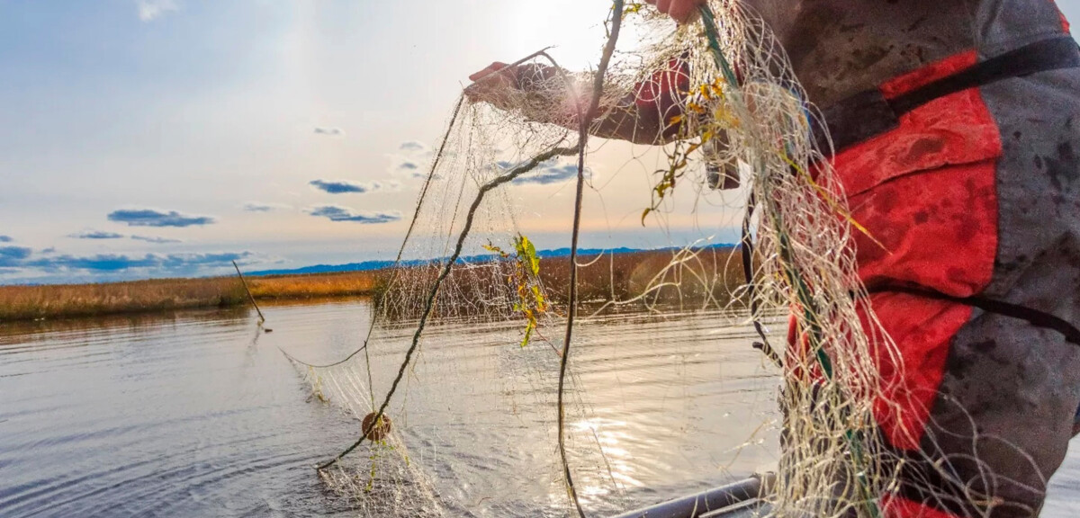 Браконьеры из Клинцов ловили рыбу под Унечей на сеть, длиной в километр