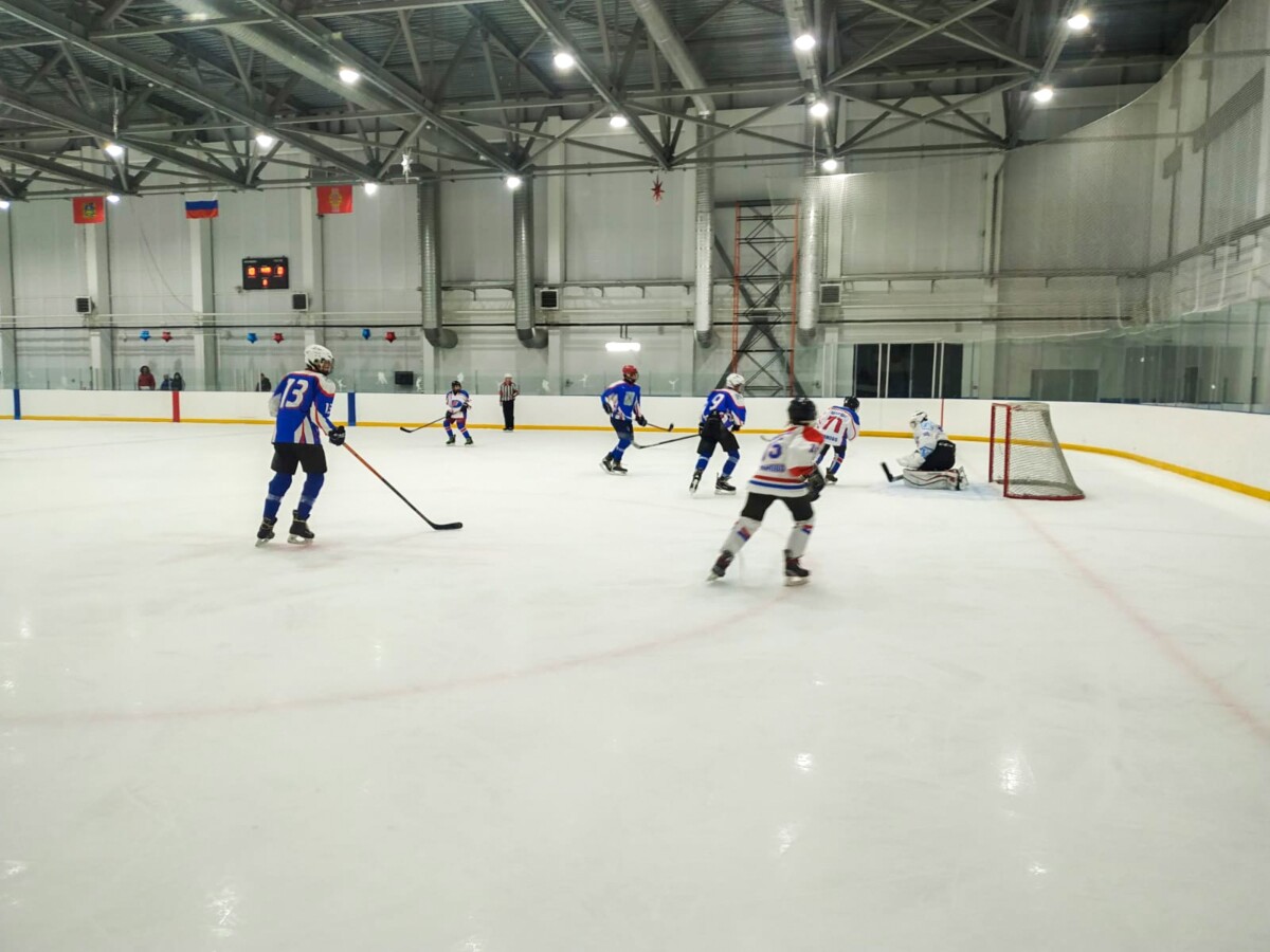 Юные хоккеисты Новозыбкова празднуют первые забитые шайбы в Первенстве Брянской области