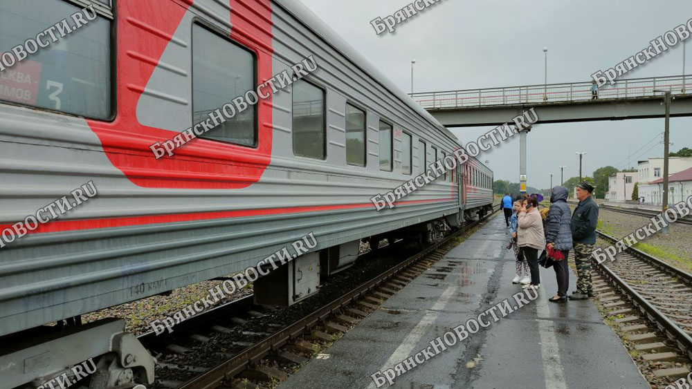 В Брянской области временно изменится расписание пригородных поездов