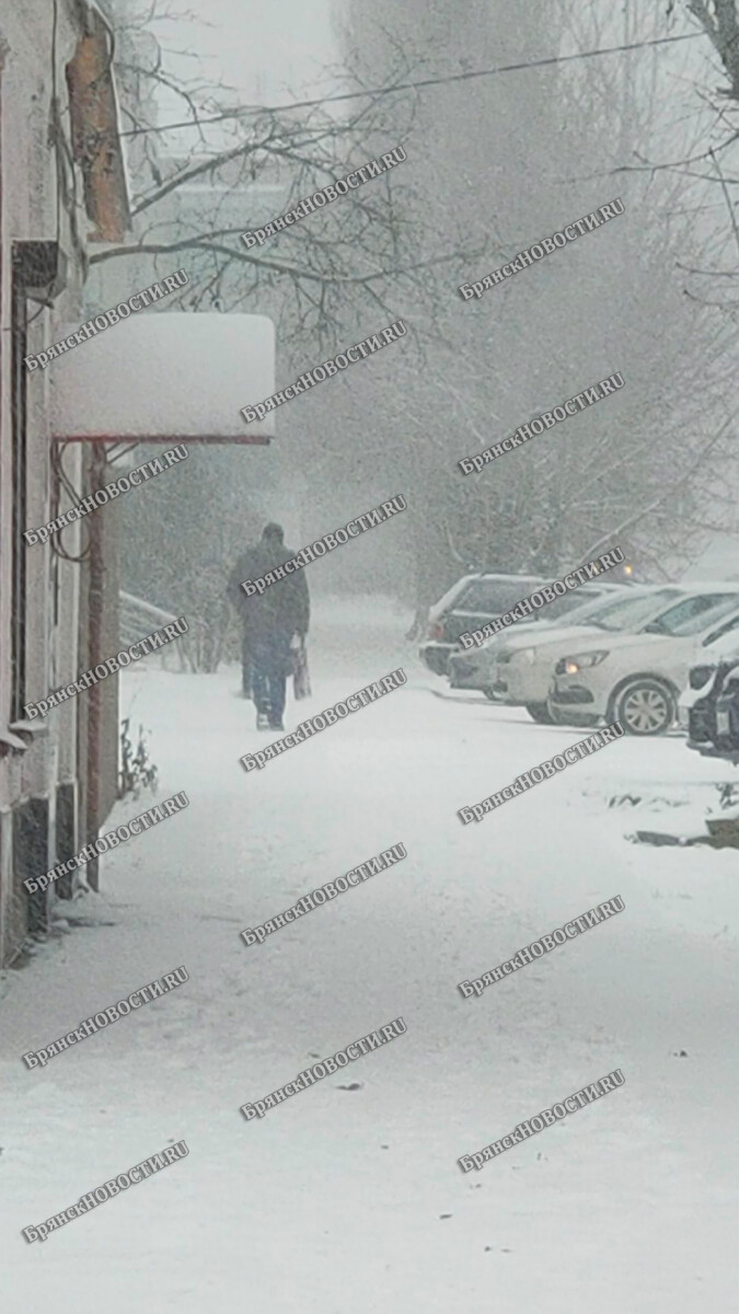 Город Новозыбков неожиданно полностью сдался зиме