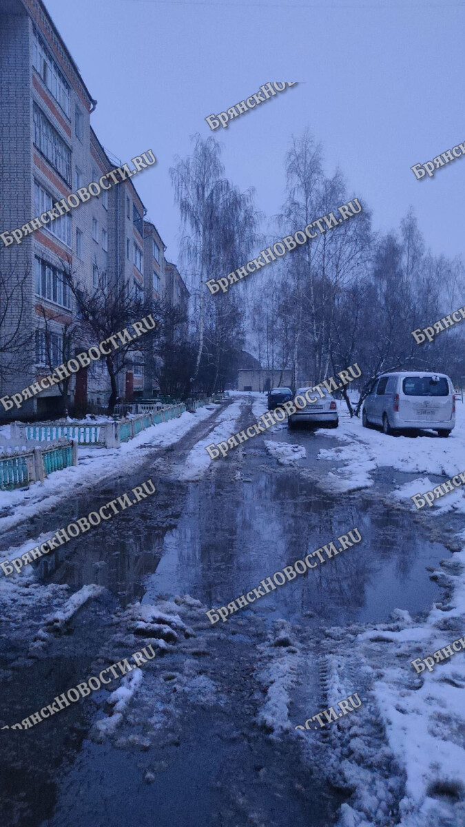 Из-за оттепели в Новозыбкове «поплыли» дворы