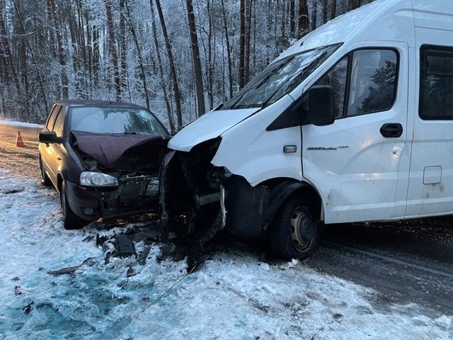 Из-за упавшего дерева на дороге под Клинцами произошло ДТП