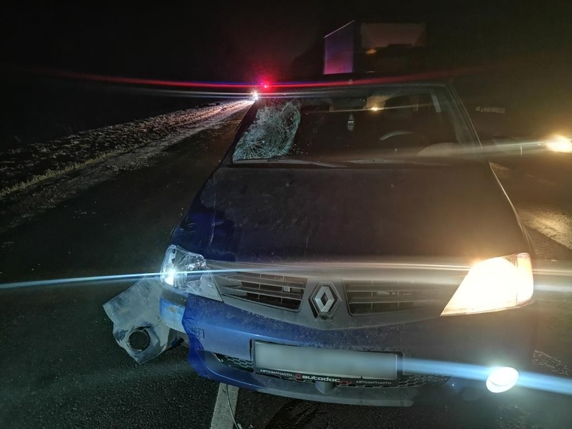 В Брянском районе Renault насмерть сбил 45-летнего мужчину