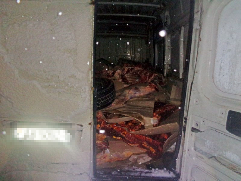В Брянской области остановили грузовик с тонной говядины