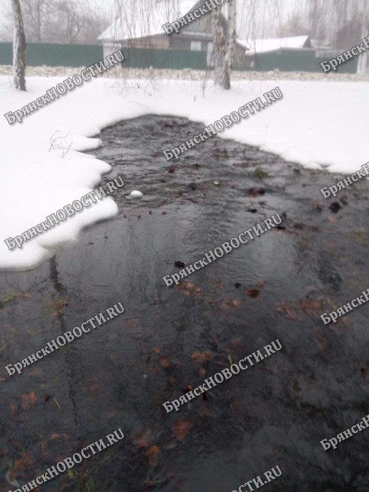 Потоки канализации на Мичурина в Новозыбкове остановились после удаления засора