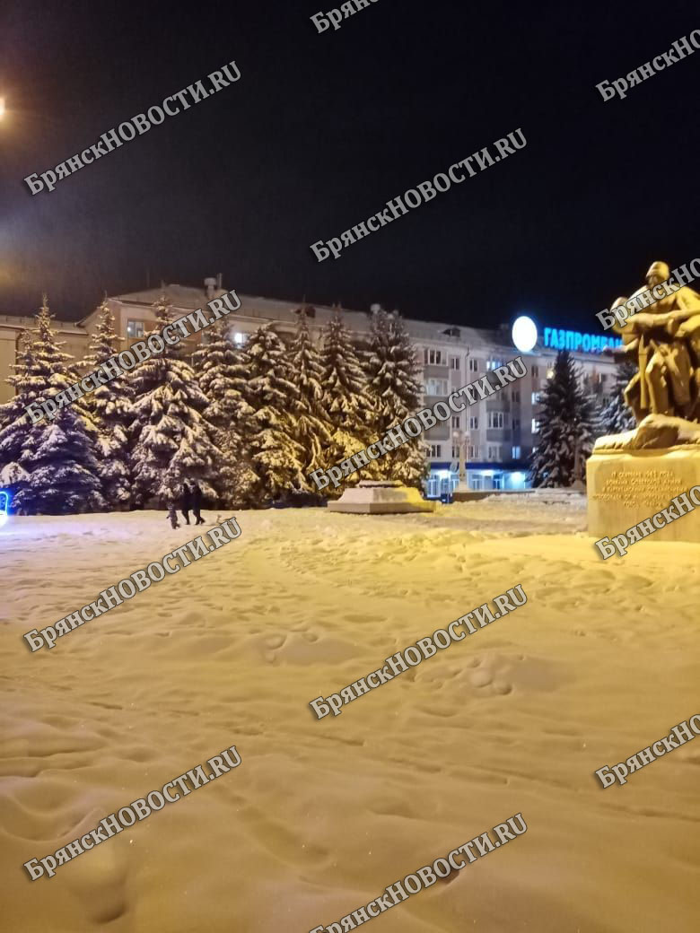 Чиновники Брянска получили предупреждение от прокуратуры за снег на дорогах
