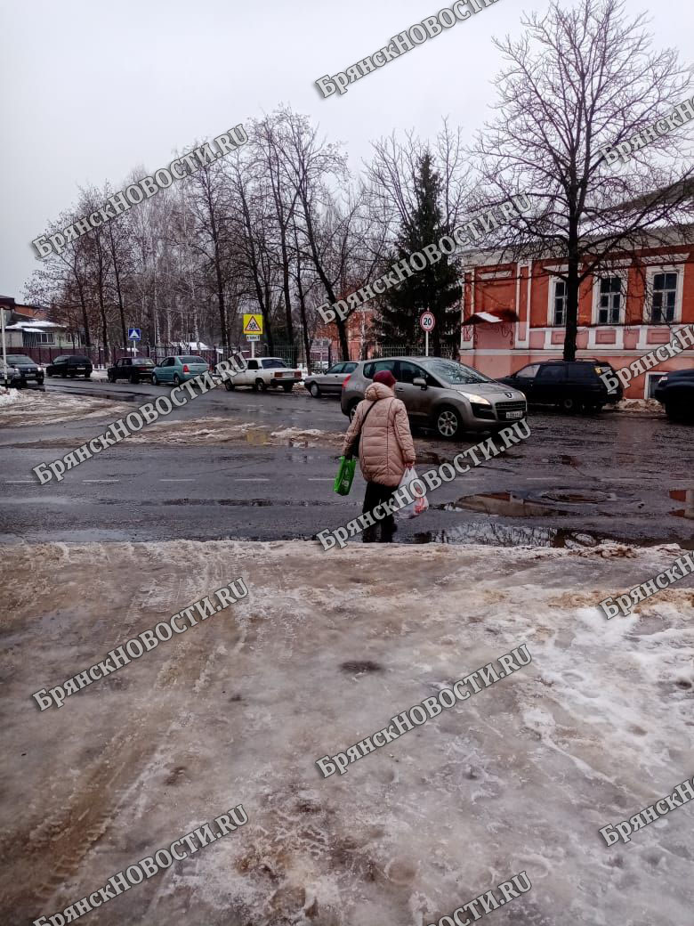 С климатическими качелями мы все тонем». Главный коммунальщик Новозыбкова  назвал причину залитых водой тротуаров • БрянскНОВОСТИ.RU