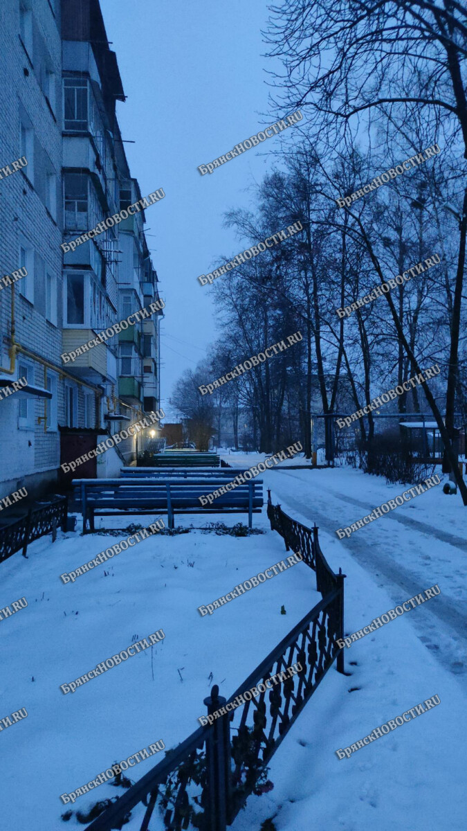 В Новозыбкове плановые отключения электричества оставили людей без  отопления • БрянскНОВОСТИ.RU