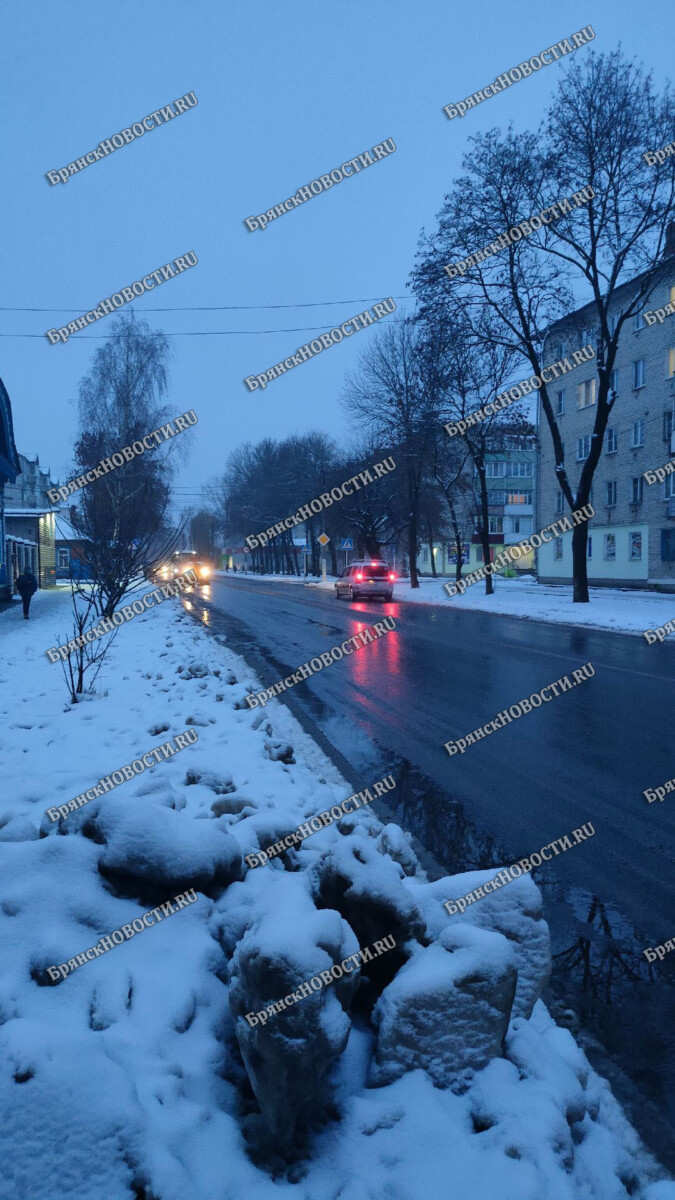 В Новозыбкове «соцработница» вынесла из дома пожилой горожанки 75 тысяч  рублей • БрянскНОВОСТИ.RU