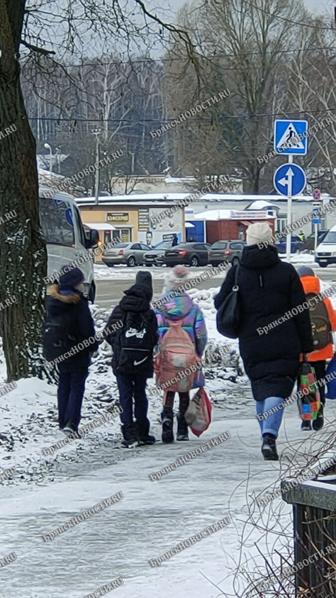 Когда брянские семьи получат «детские»