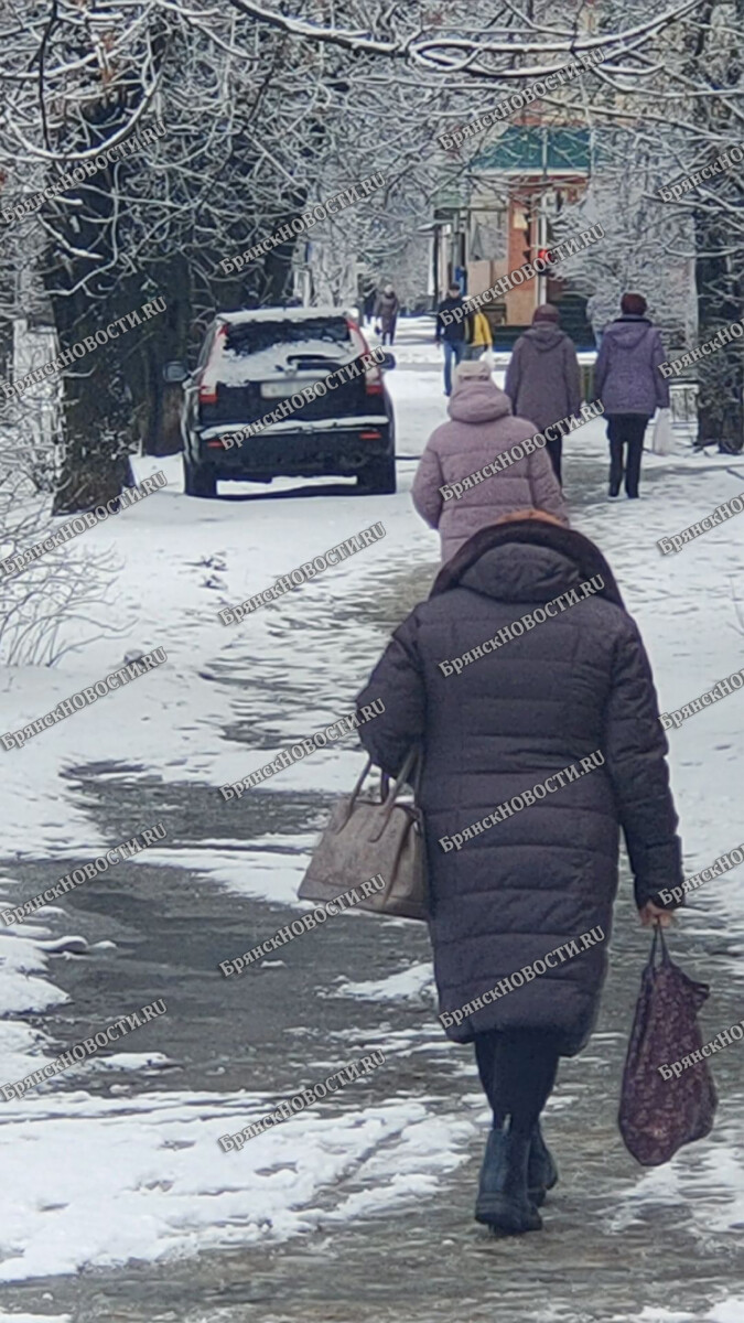 Пенсионный фонд заверил в своевременности выплат в Брянской области •  БрянскНОВОСТИ.RU