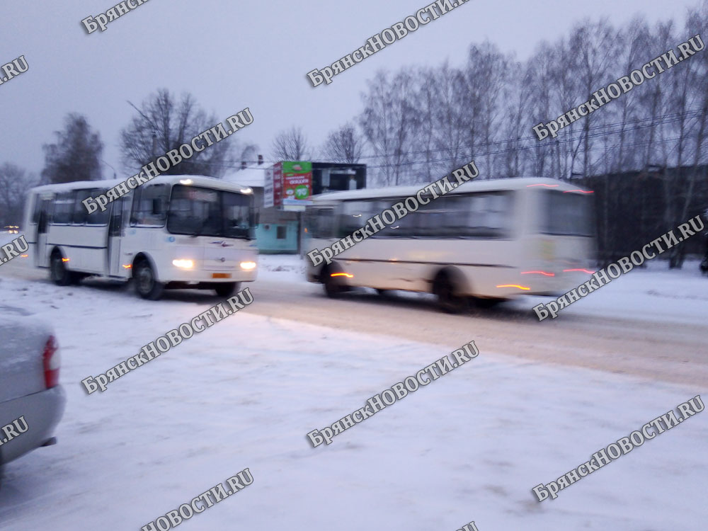 На городские маршруты в Новозыбков возвращается ПАТП