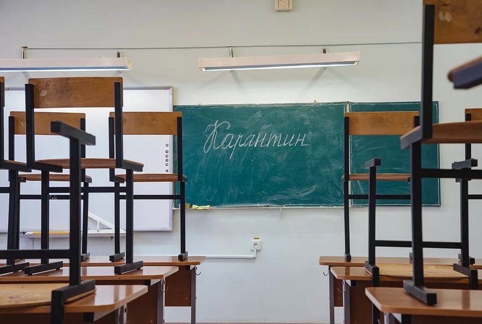 Школьные классы и детсадовские группы в Новозыбковском округе закрывают на карантин