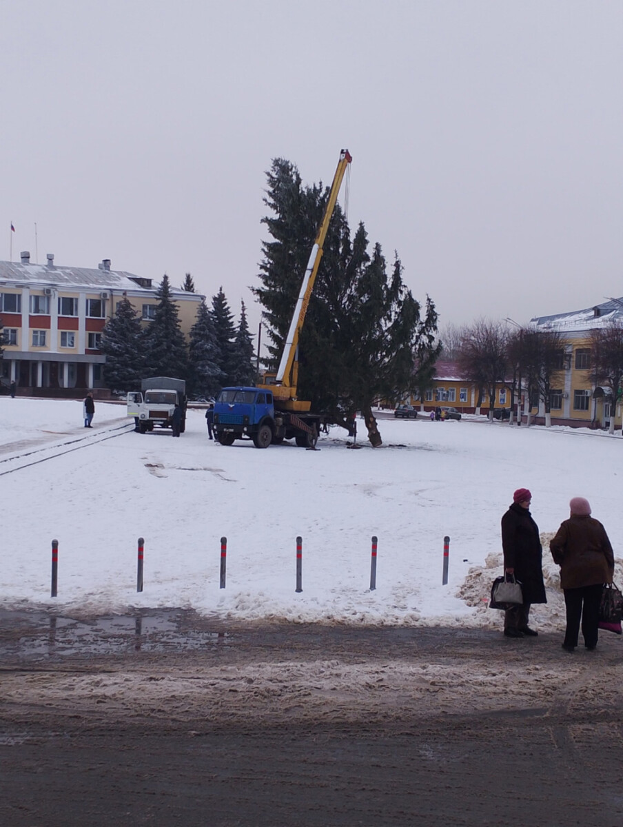 На площадь Климово доставили новогоднюю елку