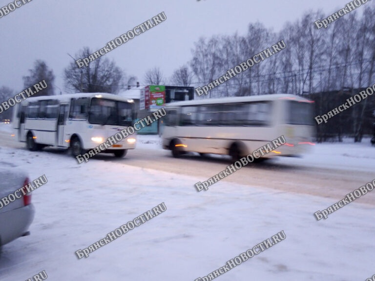 «В субботу Вокзал Совхоз на 13 25 не пошел», сообщила пассажирка из Новозыбкова