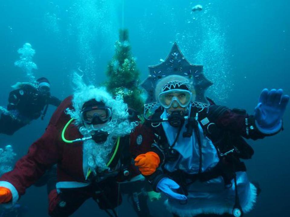 Дайверы из Брянска планируют отпраздновать Новый год под водой