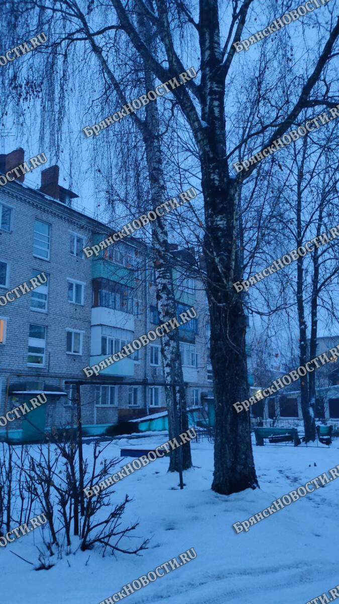 Молодая женщина попала в больницу с побоями в Новозыбкове