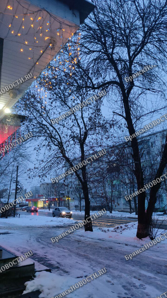 В Новозыбкове охотник за спиртным вынес из магазина бутылку вина •  БрянскНОВОСТИ.RU