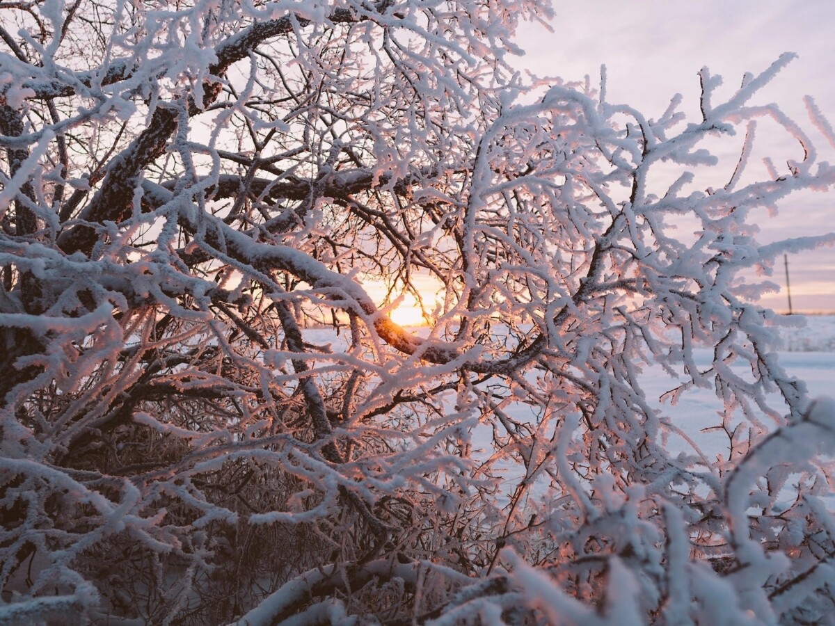 Погода обещает центральным областям России в выходные «снежное светопреставление»