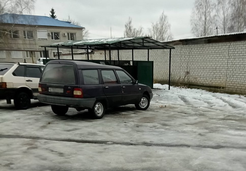 Автохамы в Брянске паркуются у мусорок