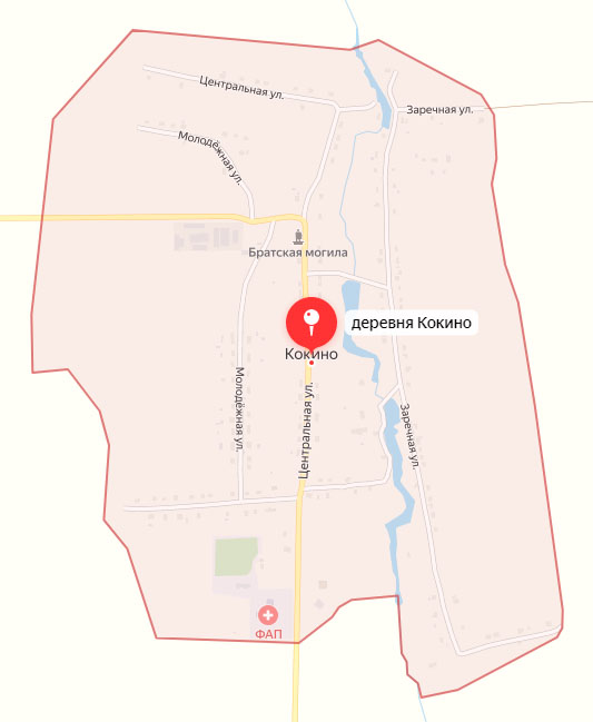 В Кокино Комаричского района при пожаре погиб подросток