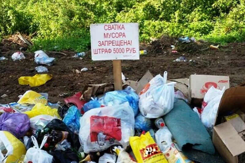 Садовое товарищество «Рассвет» в Брянске привлекли к ответственности за свалки
