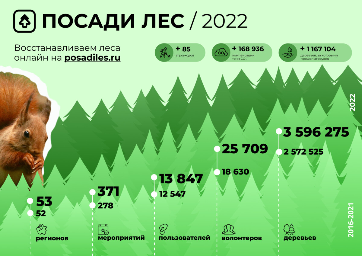 За год в России высадили больше миллиона деревьев • БрянскНОВОСТИ.RU