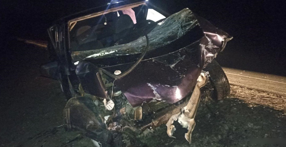 Водитель разбитого ВАЗа обвинил в ДТП под Дубровкой дикое животное