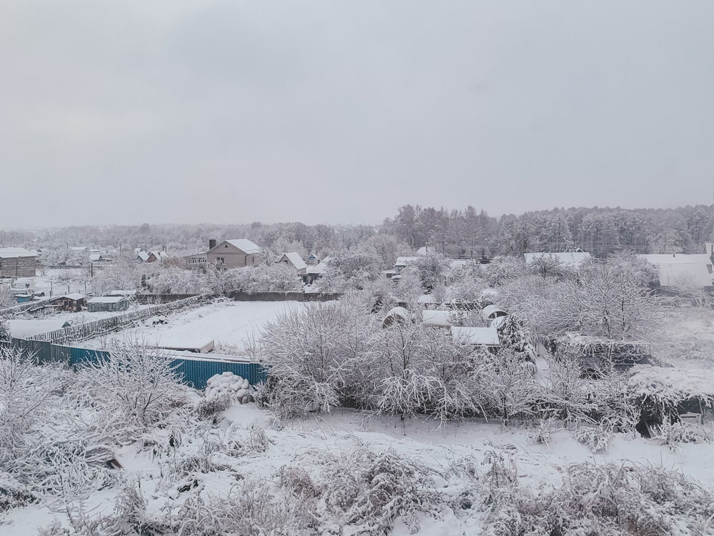 В концу недели в Брянской области заметно потеплеет