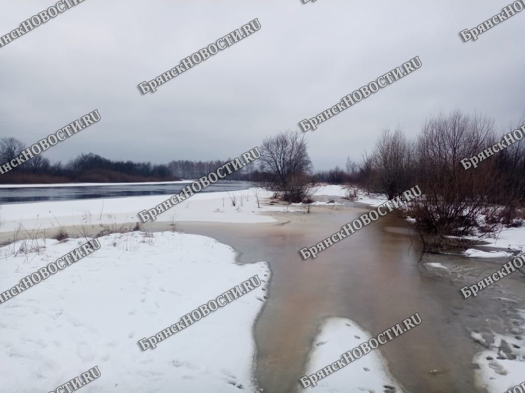 Перевоз пока держится, но уровень воды в реке Ипуть продолжает подниматься  • БрянскНОВОСТИ.RU