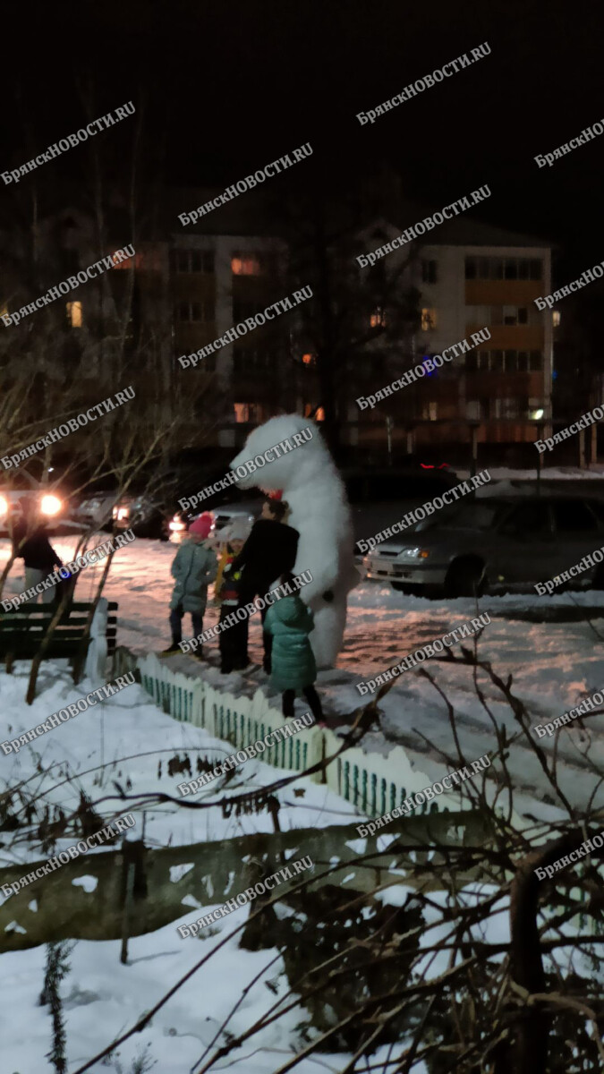 В Новозыбкове огромный белый медведь напугал прохожих • БрянскНОВОСТИ.RU