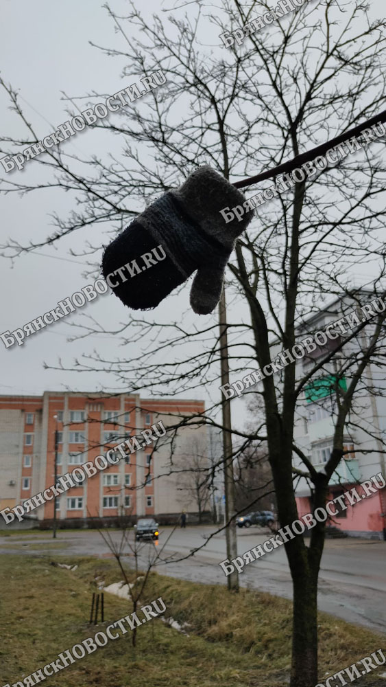 На Крещение в Брянской области дождь