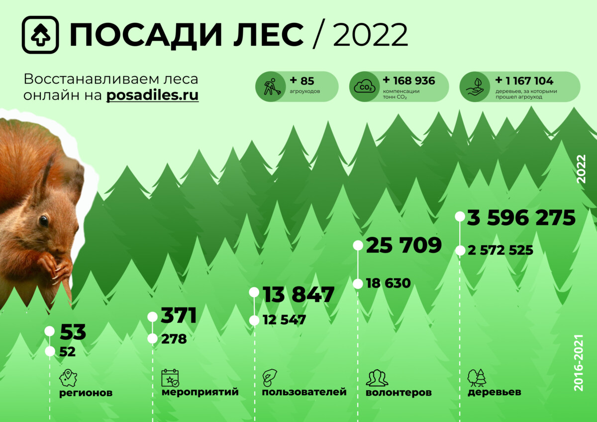 За год в России высадили больше миллиона деревьев