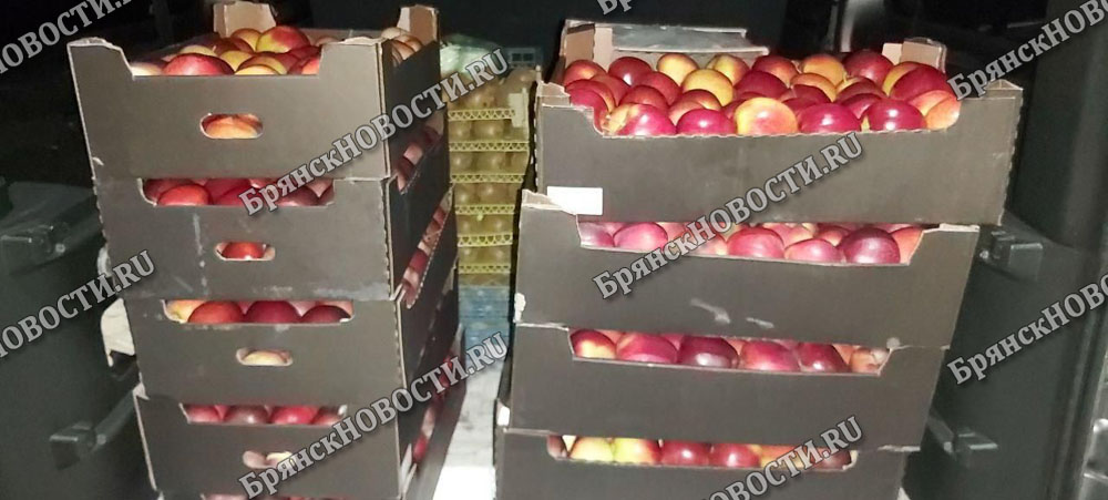 Полный кузов фруктов без документации задержали в Новозыбкове