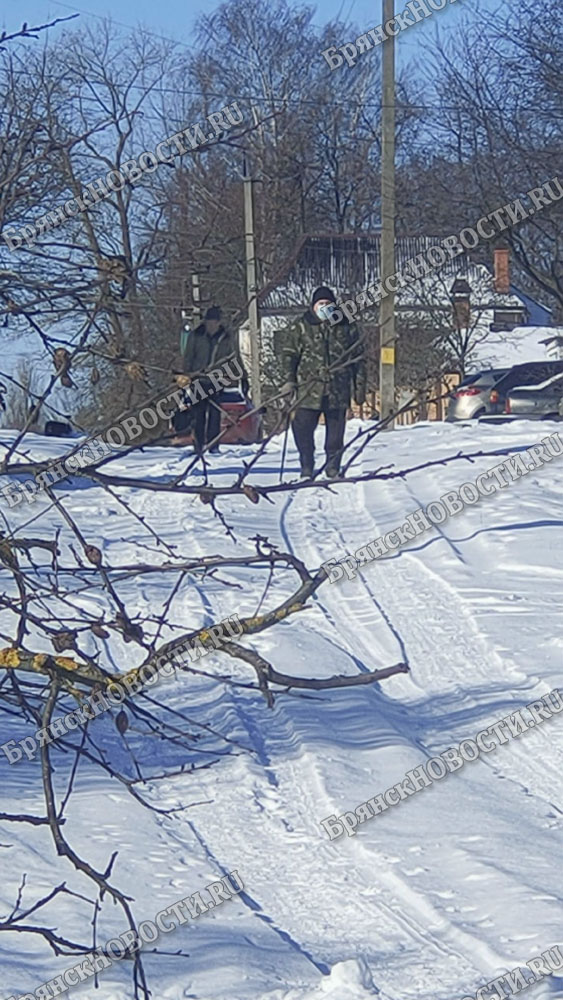 В Брянской области городское население вдвое больше сельского