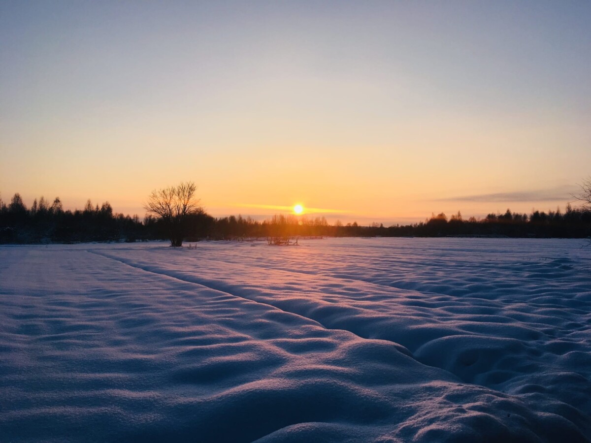 Будут и зимние морозы, и «намек» на весеннюю оттепель – прогноз погоды на длинные выходные в Брянской области