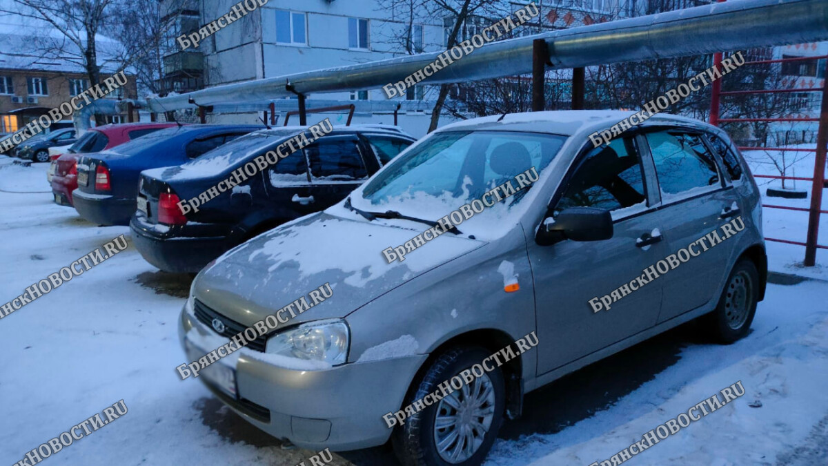 Названы два самых популярных цвета автомобилей в Брянской области