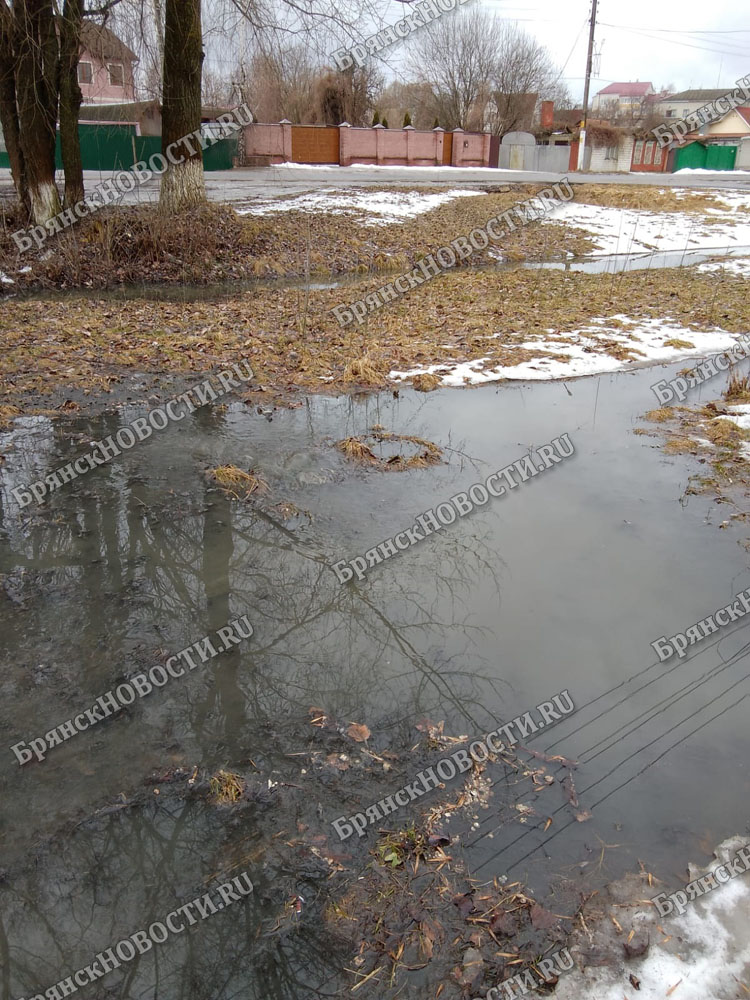 Улицу в Новозыбкове вновь заливает канализацией