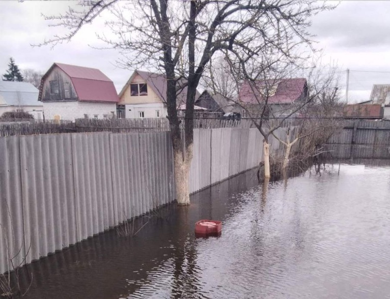 Паводок в Брянске достигнет своего пика только в начале апреля. Вода еще будет прибывать