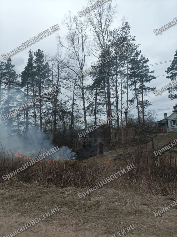 Выгоревшие площади на улице Дыбенко в Новозыбкове