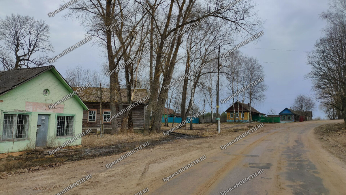 Контрасты деревни Дубровка Новозыбковского района Брянской области