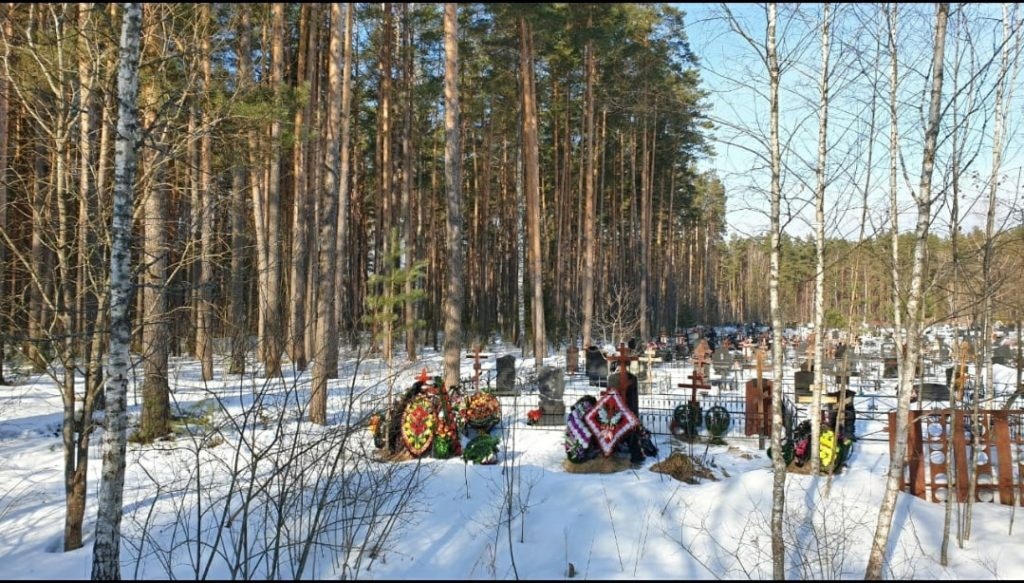 В Брянске объявили о скором решении вопроса с расширением кладбища в поселке Белые Берега
