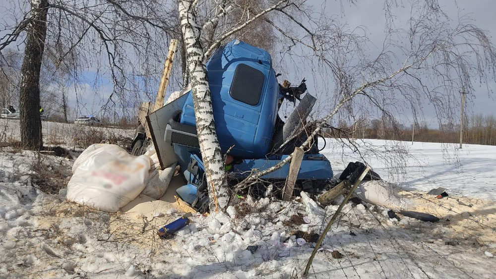 Водитель грузовика с прицепом вылетел с дороги в Брянской области и врезался в дерево