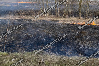 Новозыбковский округ продолжает полыхать – за сутки тушили четыре пожара