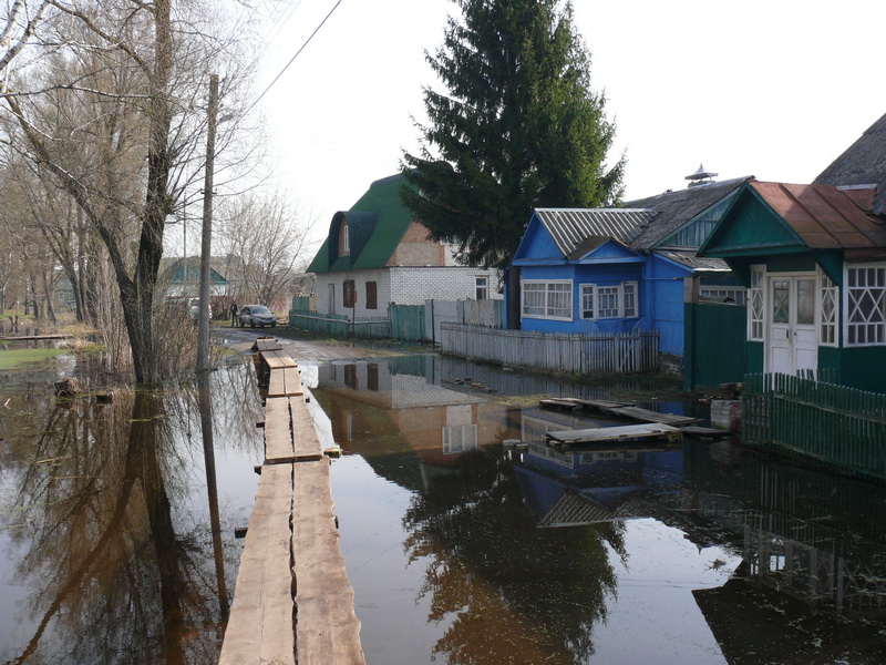 В Брянске начало затапливать жилые дома. Две семьи эвакуировали во временные пункты размещения
