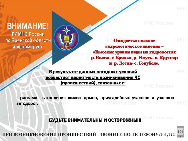 Уровень воды в Болве в Брянске поднимется до 623 сантиметров