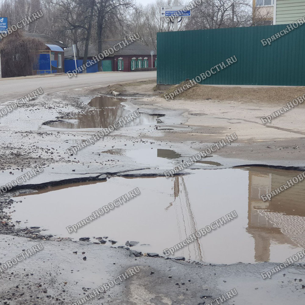 В Новозыбкове почти просохшая за месяц дорога открыла две западни