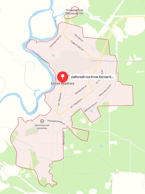 Один человек пострадал в результате обстрела ВСУ поселка в Брянской области