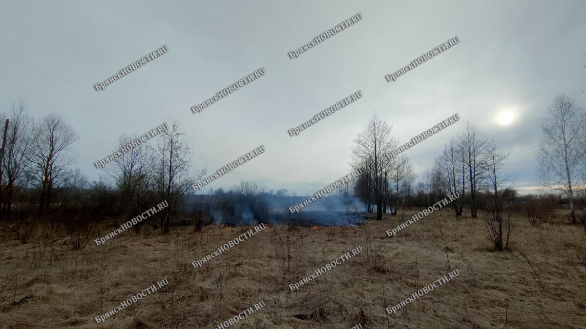 За выходные в Новозыбковском районе произошло семь травяных пожаров