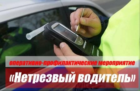 В дни майских праздников на дорогах Брянска пройдут рейды по контролю трезвости